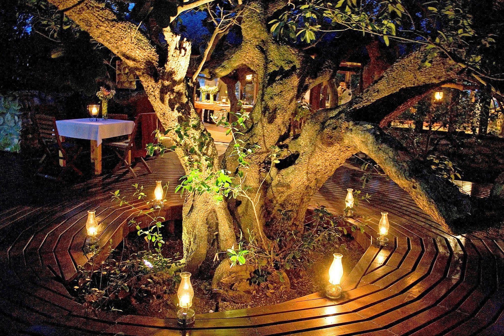 Mosaic Lagoon Lodge Stanford Esterno foto